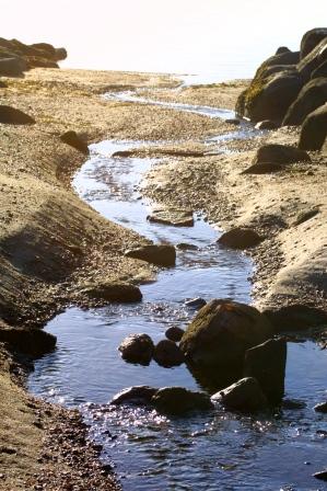 Dragontail Poem & Image by Lyn Littlefield Hoopes